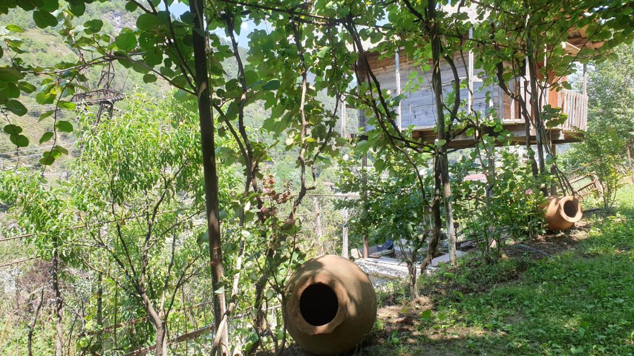Shuakhevi Guest House Okropilauri المظهر الخارجي الصورة